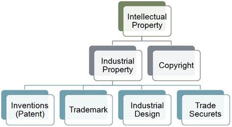 What Is IP In Business